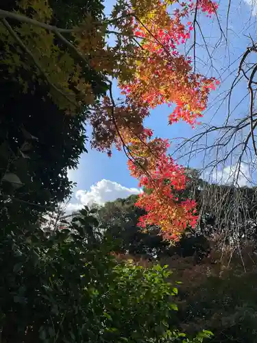 葛原八幡神社(福岡県)