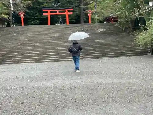 霧島神宮(鹿児島県)