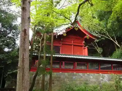 伊豆山神社の本殿・本堂