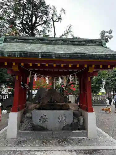 浅草神社の手水舎