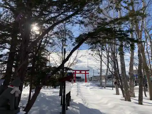 山本稲荷神社の鳥居