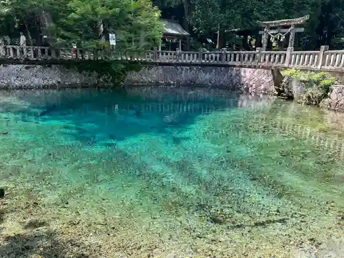 嚴島神社(山口県)