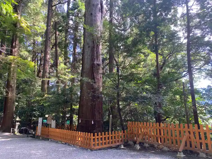 高千穂神社(宮崎県)