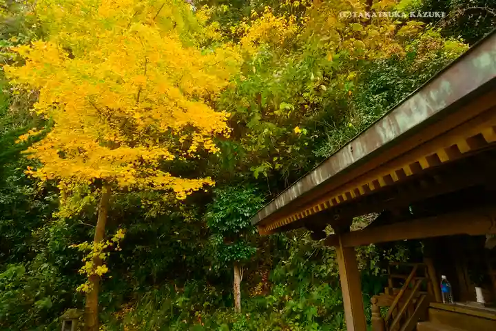 諏訪神社(神奈川県)