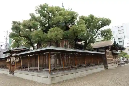 今宮戎神社の本殿