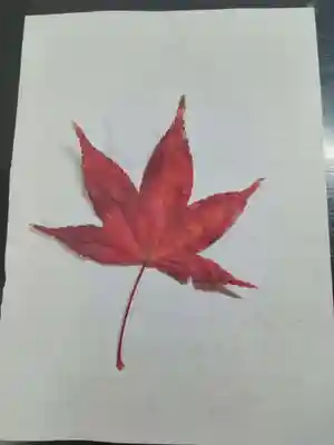 室生寺(奈良県)