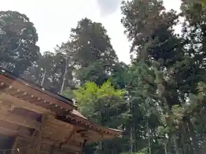 大宮温泉神社(栃木県)(2023年06月27日(火) 09時28分03秒投稿)