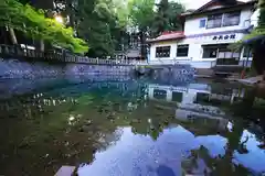 厳島神社の庭園