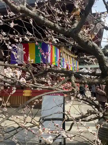 岩津天満宮(愛知県)