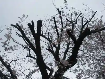 東光寺(神奈川県)