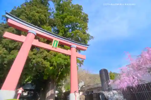 河口浅間神社(山梨県)