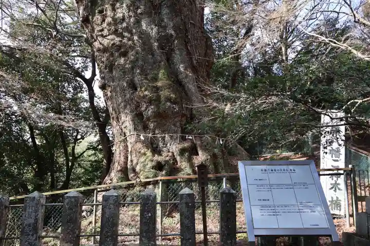 柞原八幡宮(大分県)