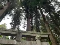 大宮温泉神社(栃木県)
