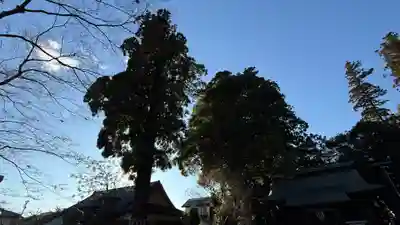 國魂神社(福島県)