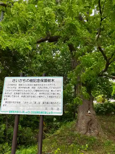 余市神社(北海道)