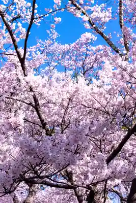 新城藤原神社(長野県)