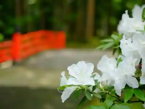 舟津神社の自然