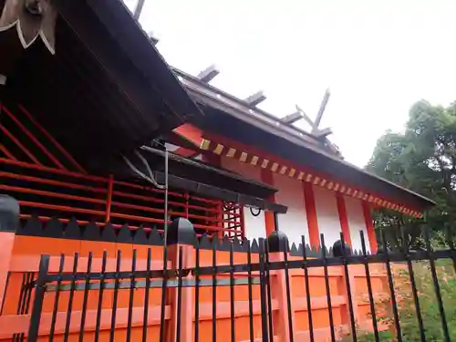 大海神社（住吉大社摂社）の本殿