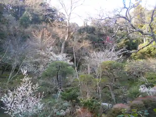 光則寺の庭園