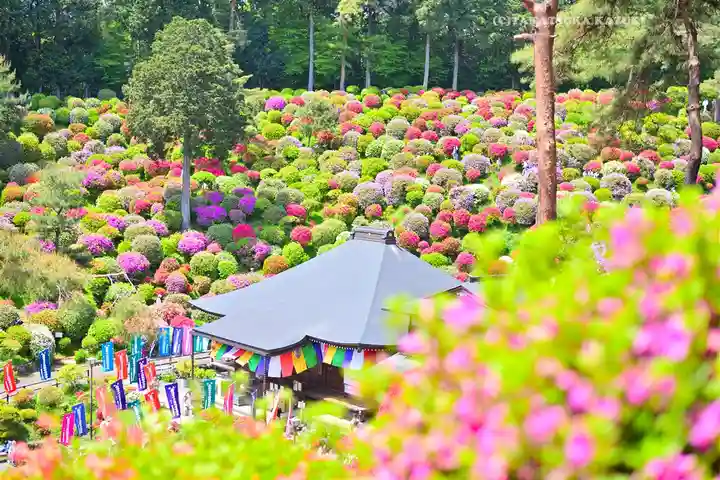 塩船観音寺(東京都)
