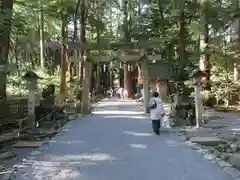 椿大神社の鳥居