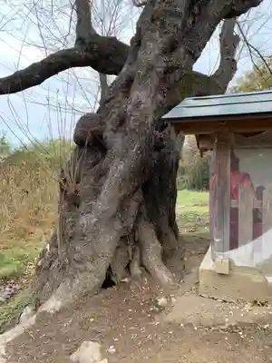 宇賀神さま(福島県)