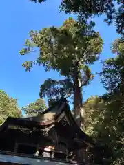 鹿島神宮(茨城県)