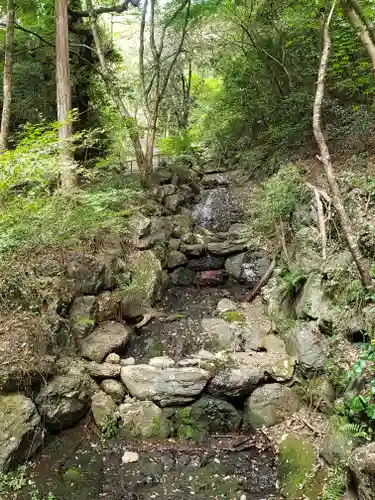 清水寺の自然