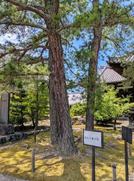 叡福寺(大阪府)