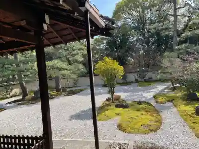 廬山寺（廬山天台講寺）の{uncategorized: "未分類", other: "その他", undefined: "問題あり", building: "その他建物", grave: "お墓", sacred_gate: "鳥居", guardian: "狛犬", statue: "像", buddha: "仏像", history: "歴史", nature: "自然", garden: "庭園", animal: "動物", pagoda: "塔", temizu: "手水舎", mountain_gate: "山門・神門", sanctuary: "本殿・本堂", subordinate: "末社・摂社", art: "芸術", scenery: "景色", jizo: "地蔵", ema: "絵馬", goshuin: "御朱印", omikuji: "おみくじ", items: "授与品その他", amulet: "お守り", goshuincho: "御朱印帳", eats: "食事", festival: "お祭り", votive_dance: "神楽", shichigosan: "七五三参", wedding: "結婚式", experience: "体験その他", initially: "初詣", around: "周辺", anti_infection: "感染症対策"}
