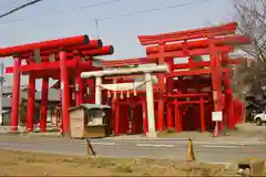 小泉稲荷神社の鳥居