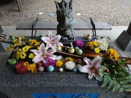 滑川神社 - 仕事と子どもの守り神の手水