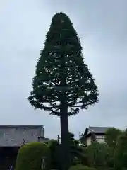 仏導寺の自然