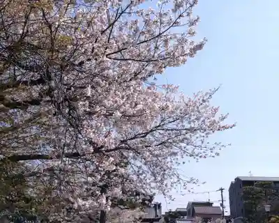 妙蓮寺(京都府)