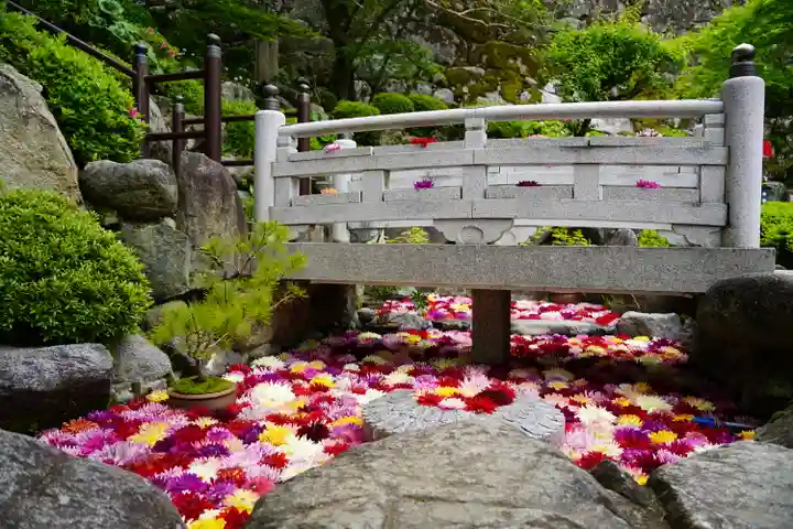 岡寺(龍蓋寺)(奈良県)