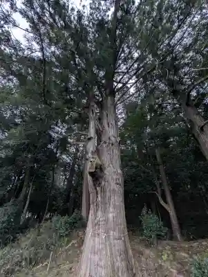 粟鹿神社の{uncategorized: "未分類", other: "その他", undefined: "問題あり", building: "その他建物", grave: "お墓", sacred_gate: "鳥居", guardian: "狛犬", statue: "像", buddha: "仏像", history: "歴史", nature: "自然", garden: "庭園", animal: "動物", pagoda: "塔", temizu: "手水舎", mountain_gate: "山門・神門", sanctuary: "本殿・本堂", subordinate: "末社・摂社", art: "芸術", scenery: "景色", jizo: "地蔵", ema: "絵馬", goshuin: "御朱印", omikuji: "おみくじ", items: "授与品その他", amulet: "お守り", goshuincho: "御朱印帳", eats: "食事", festival: "お祭り", votive_dance: "神楽", shichigosan: "七五三参", wedding: "結婚式", experience: "体験その他", initially: "初詣", around: "周辺", anti_infection: "感染症対策"}
