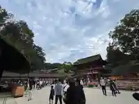 太宰府天満宮(福岡県)