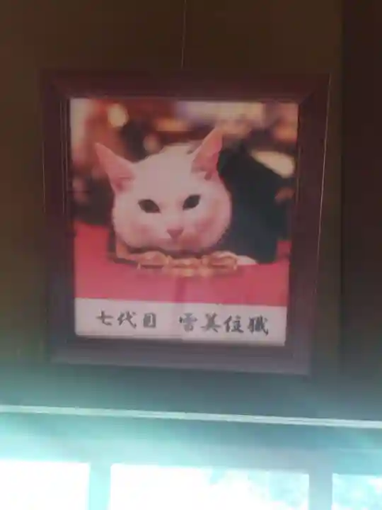 猫猫寺(京都府)