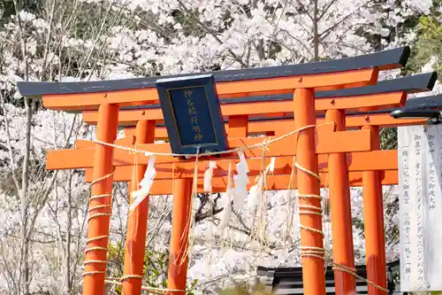 神谷稲荷明神社の鳥居