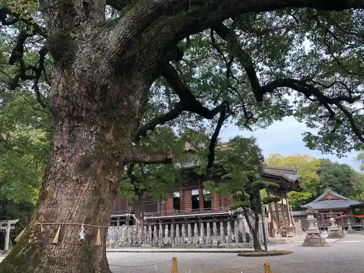 大原八幡宮(大分県)