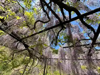 天台宗 五大山 白毫寺(兵庫県)