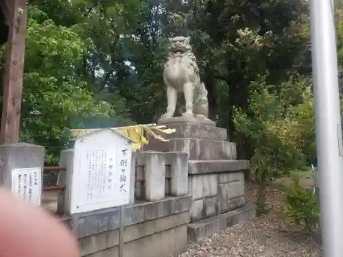 福井県護国神社の狛犬