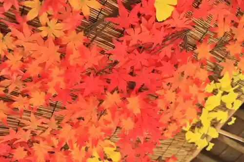 豊景神社の手水舎