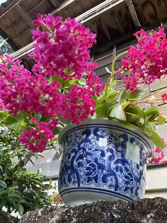 恵利寺の庭園