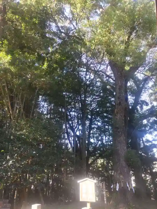 久礼八幡宮(高知県)