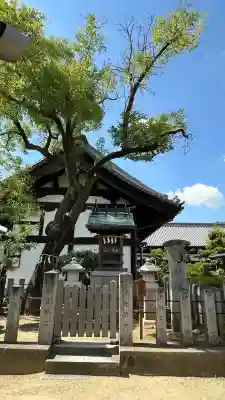 誉田八幡宮(大阪府)