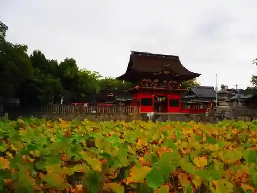 伊賀八幡宮の庭園