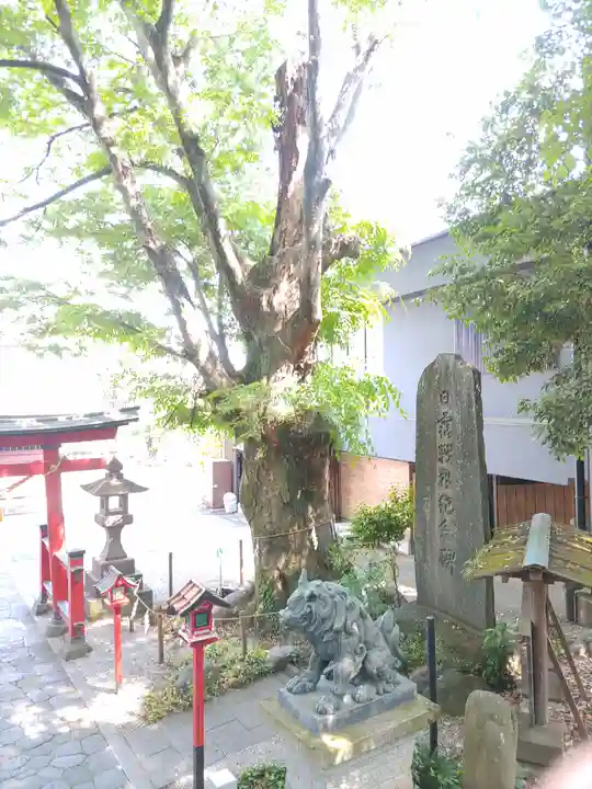 山名八幡宮(群馬県)