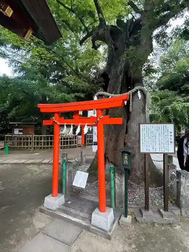 新田神社(東京都)