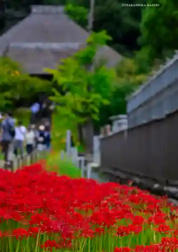 横浜　西方寺(神奈川県)